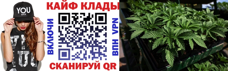 Где купить наркотики Куртамыш Канабис  A-PVP  Меф мяу мяу  COCAIN 
