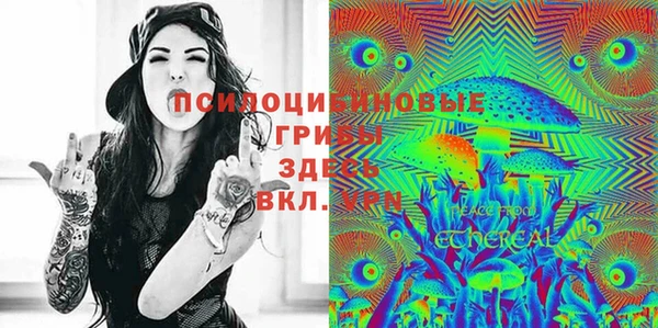 сатива Алексин