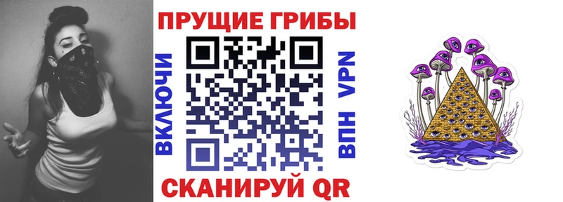 Галлюциногенные грибы ЛСД  где можно купить   Куртамыш 